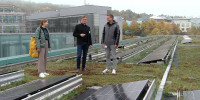 Klinikumsvertreter und Solarpaneelen auf dem UKT