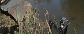 Markwasensee
