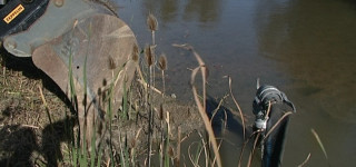 Markwasensee
