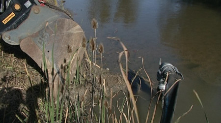 Markwasensee