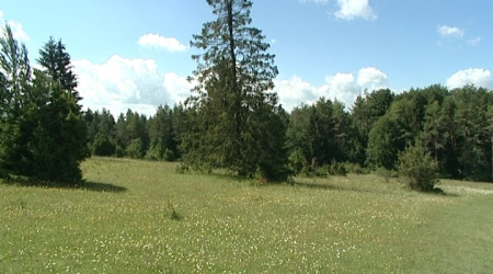 Biosph&auml;rengebiet Schw&auml;bische Alb