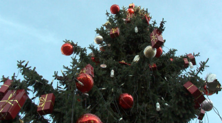 Christbaumentsorgung Reutlingen