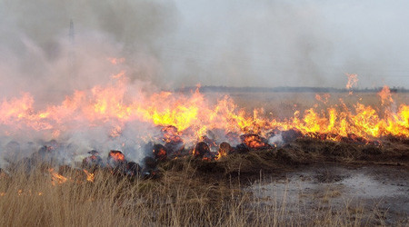Quelle: pixabay.com Flächenbrand