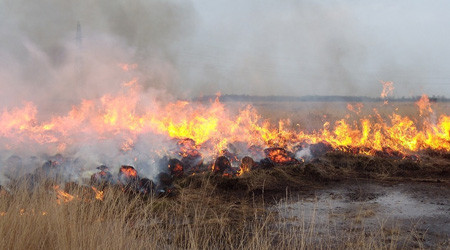 Flächenbrand