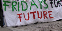 Fridays for Future - Transparent