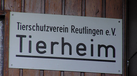 Tierheim Reutlingen