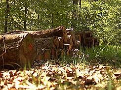 Naturpark Sch&ouml;nbuch