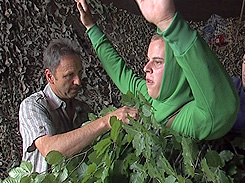 Einpacken des Pfingstbutzes