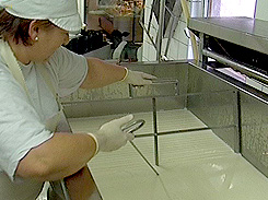 K&auml;seherstellung