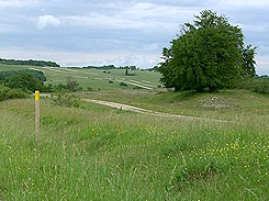 Biosp&auml;rengebiet Schw&auml;bische Alb