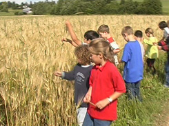 Getreidesorten erkunden