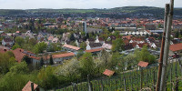 Metzingen: Blick vom Weinberg