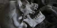 Sch&auml;del Homo Sapiens Sapiens (Jetztmensch)
