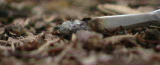 Waldbrand