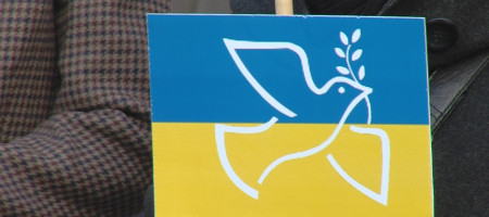 Ukrainefahne mit Friedenstaube