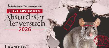 Flyer Absurdester Tierversuch 2026