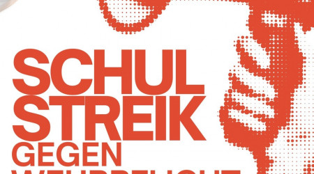 Schulstreik Plakat