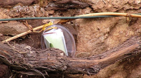 Literarische Ostereiersuche am H&ouml;lderlinturm
