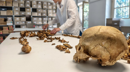 Anthropologische Untersuchung eines Skeletts vom fr&uuml;hmittelalterlichen Fundplatz Altheim bei Landshut an der Staatsammlung f&uuml;r Anthropologie M&uuml;nchen (SAM)