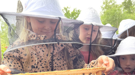 Kind und Bienenwaben